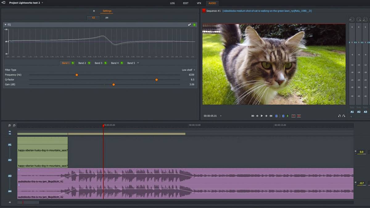 Software zur Bearbeitung von Videos für YouTube Screenshot von Lightworks und Bild der Katze